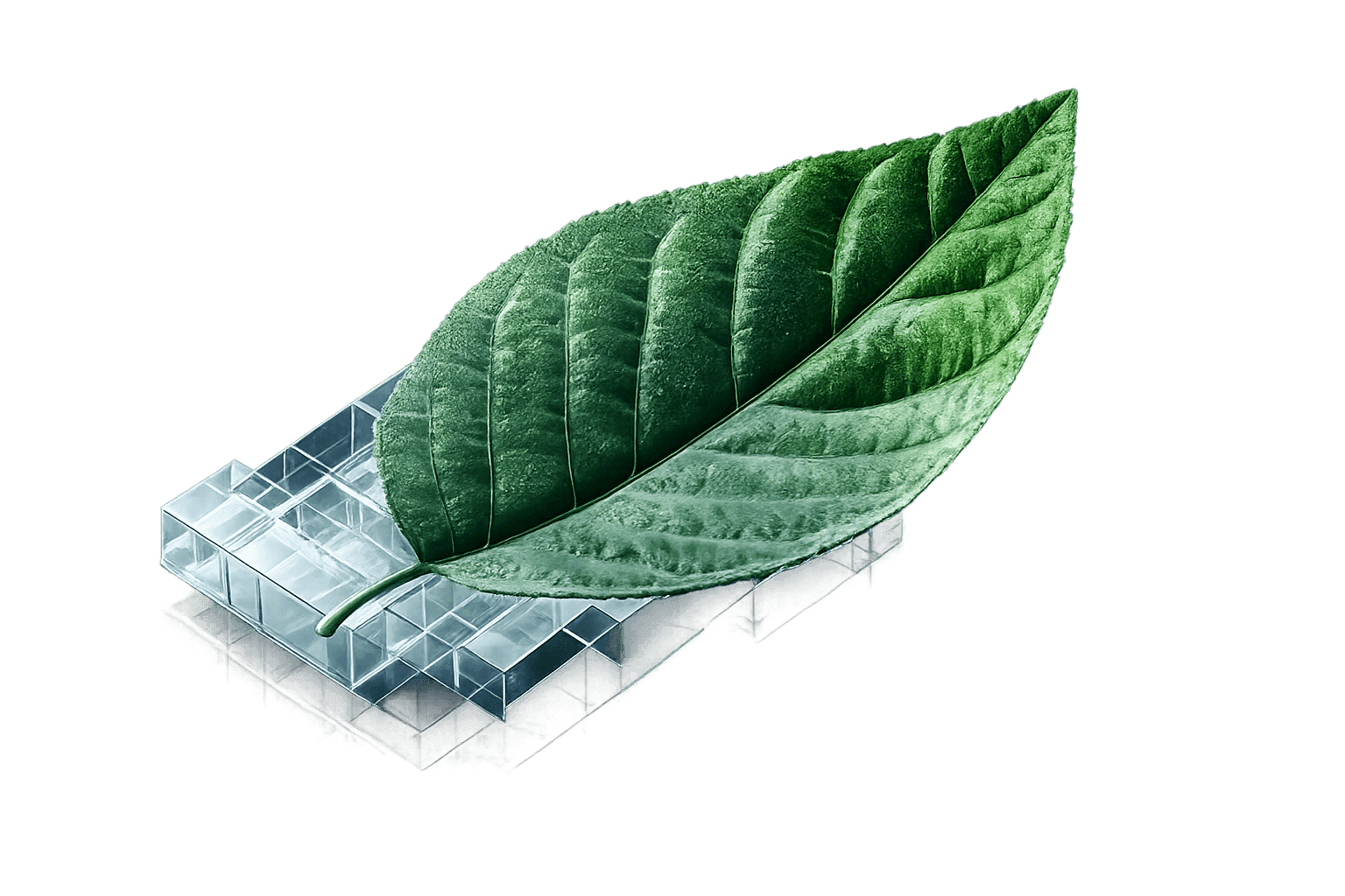 InstaBuilt sustainable green living illustration
